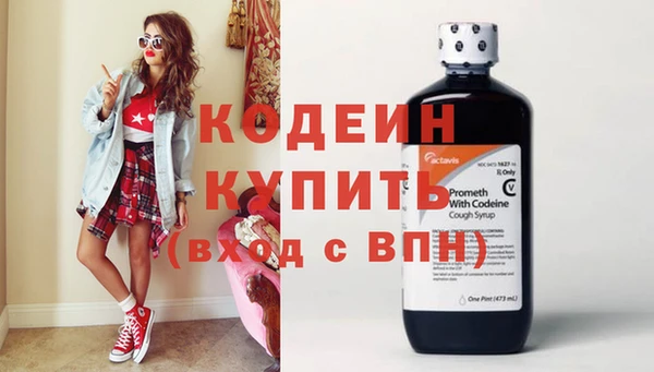 гашик Каменка