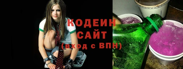 гашик Каменка