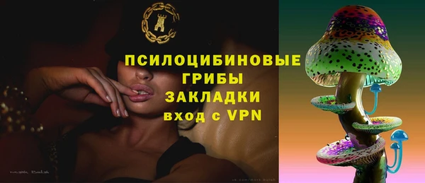 гашик Каменка