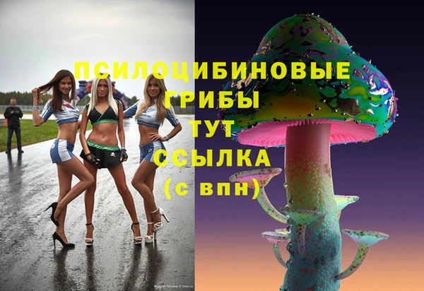 гашиш Каменногорск