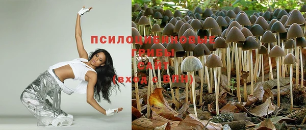 гашиш Каменногорск