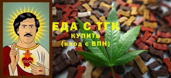 гашик Каменка