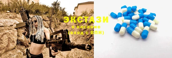 гашик Каменка