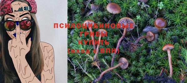 гашик Каменка