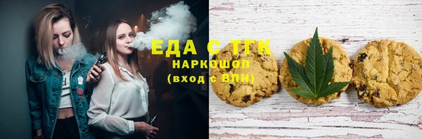гашик Каменка