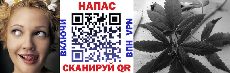 Шишки марихуана SATIVA & INDICA  Купить закладки  Великие Луки 